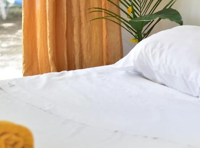 Congo Tempisque Homestay *