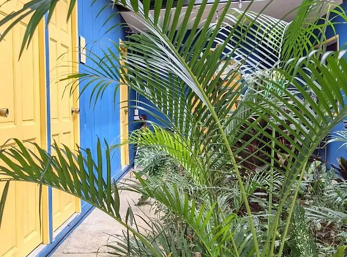 Congo Tempisque