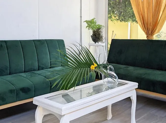 Homestay Congo Tempisque